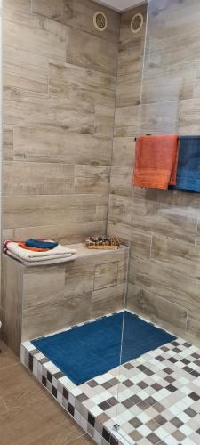 La salle de bains est pourvue d'une douche et d'un mur carrelé. dans l'établissement Au bout du lac d'Annecy, à Doussard
