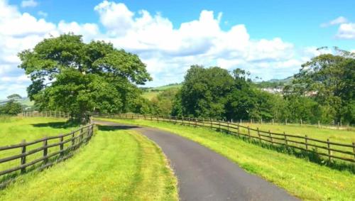 a dirt road in a field with a fence at Romantic Rural Break In Countryside Castle Grounds Private Retreat Wizards Rest in Bishops Tawton
