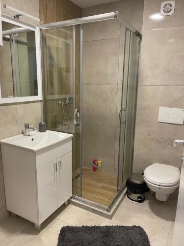 een badkamer met een douche, een wastafel en een toilet bij Cvetanov trg LUX 1 in Belgrado