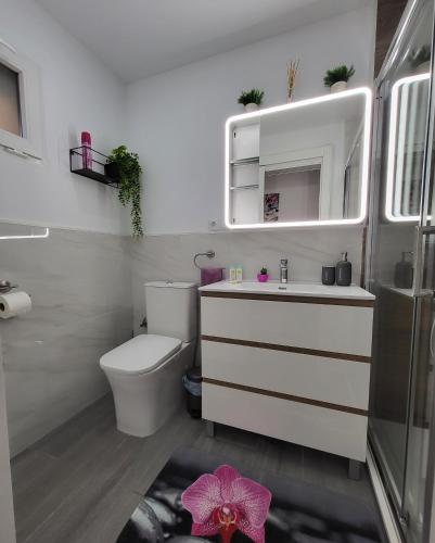 a bathroom with a toilet and a sink and a mirror at Emma Apartman in Santa Pola