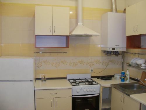 Kjøkken eller kjøkkenkrok på Apartment Roman