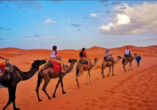 a group of people riding on camels in the desert at Merzouga best camp in Merzouga