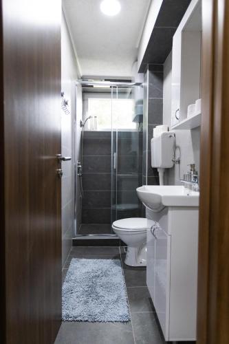 a bathroom with a shower and a toilet and a sink at Apartman Zelengora in Tjentište