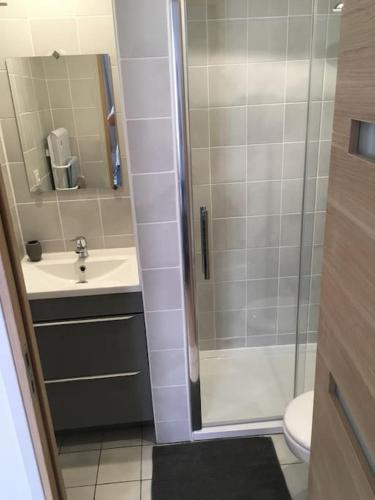 une salle de bain avec une douche, un lavabo et des toilettes dans l'établissement Studio QUARTIER VAUCELLES, à Caen