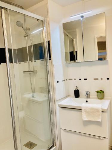 une salle de bain avec douche et lavabo dans l'établissement Les Bains Appartement proche de la Mer, à Dieppe