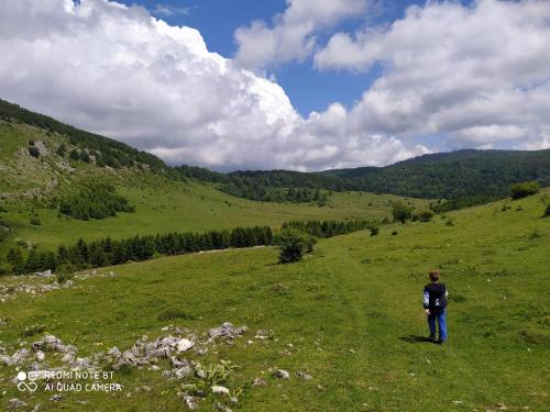a man standing in a field of green grass at Vodenica Lug in Strmosten
