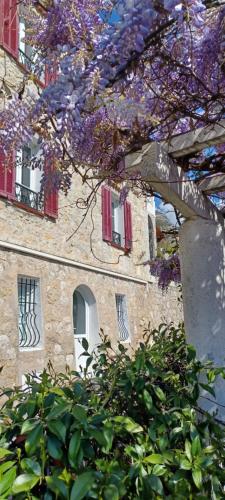 a tree with purple flowers in front of a building at La cigale in Gourdon