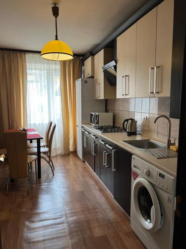 リヴィウにあるElit 3 Balcons Apartmentsのキッチン(洗濯機、乾燥機付)