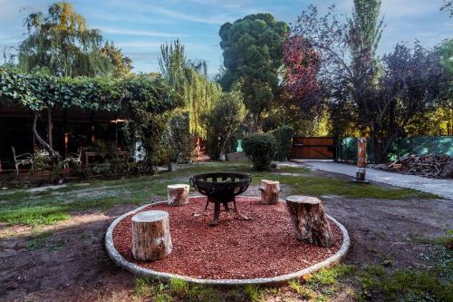 a fire pit in the middle of a yard with trees at ESPACIO RAKU in Ciudad Lujan de Cuyo