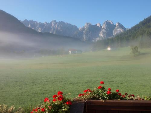 a field with red flowers and mountains in the background at Frühstückspension Pachler in Gosau