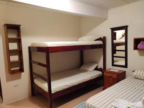 two bunk beds in a room with a mirror at Cabinas Pura Vida B&B and Tour Operator in Drake