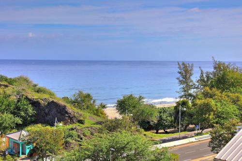 a view of the ocean from a house at Le Blue Lagoon - apt T2 Cap Homard in Grand Fond