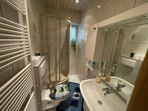 La salle de bains est pourvue d'une douche, d'un lavabo et de toilettes. dans l'établissement Ferienwohnung Beer, à Fehrenbach