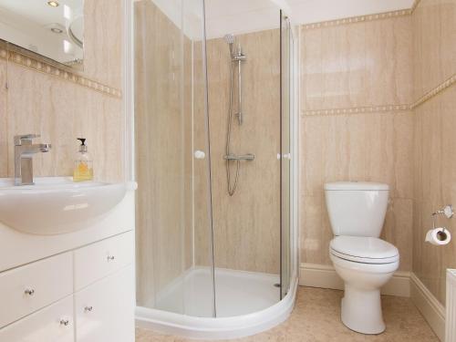 a bathroom with a shower and a toilet and a sink at Copper Beech Cottage in Henfynyw Upper
