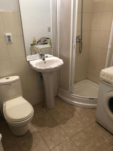 y baño con aseo, ducha y lavamanos. en Apartament 1 comera, en Lugoj