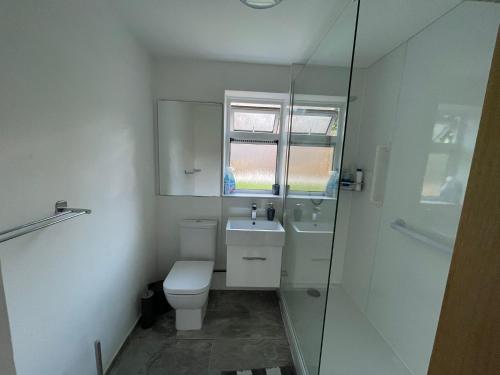 a bathroom with a toilet and a glass shower at Lovely 2 bedroom apartment with a garden in Royal Tunbridge Wells
