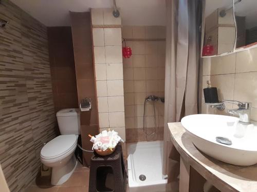 uma casa de banho com um WC, um lavatório e um chuveiro em MiloPetra em Yerolimin