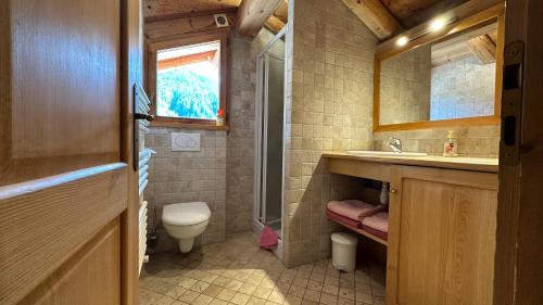 a bathroom with a toilet and a sink and a mirror at L'ourson in Le Grand-Bornand