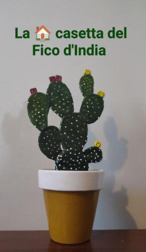 a cactus sticker on a wall with the words la cactus del flexico at La casetta del Fico d'India in Marsala