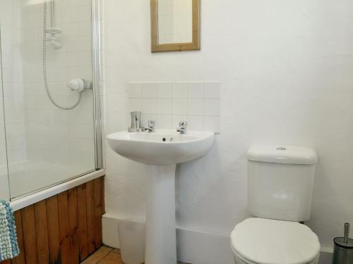 a bathroom with a sink and a toilet and a shower at Colman Bach in Llangwnadl