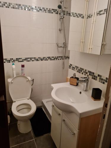 A bathroom at Appartement cosy à 5mn à pied de la gare de melun.
