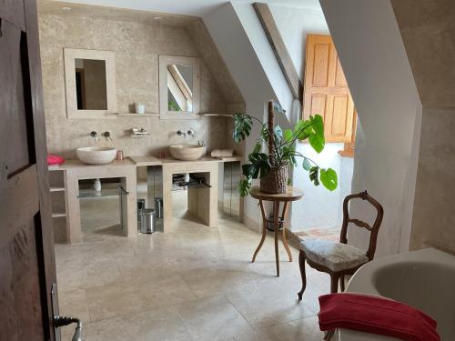 een badkamer met 2 wastafels en een spiegel bij La Réserve de Rilhat in Cognat-Lyonne