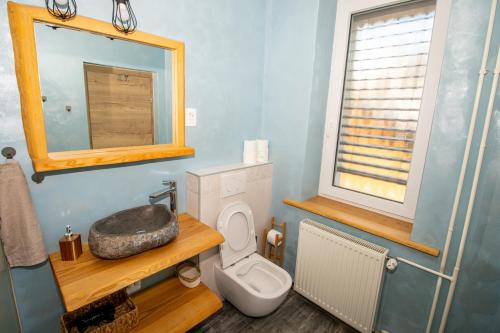Vonios kambarys apgyvendinimo įstaigoje Vila Eva Lesce - Bled