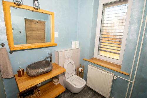 a bathroom with a toilet and a mirror at Vila Eva Lesce - Bled in Lesce