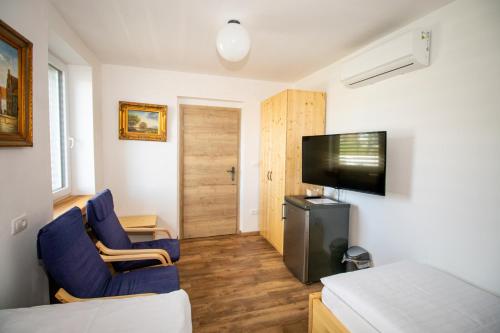 Μια τηλεόραση ή/και κέντρο ψυχαγωγίας στο Vila Eva Lesce - Bled