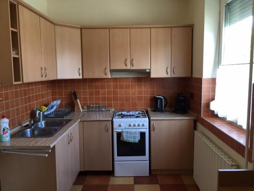 a small kitchen with a stove and a sink at Galéria Vendégház in Mezőkövesd