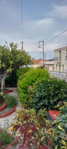 un jardín con muchas plantas y árboles en Sofi's House, en Ándros