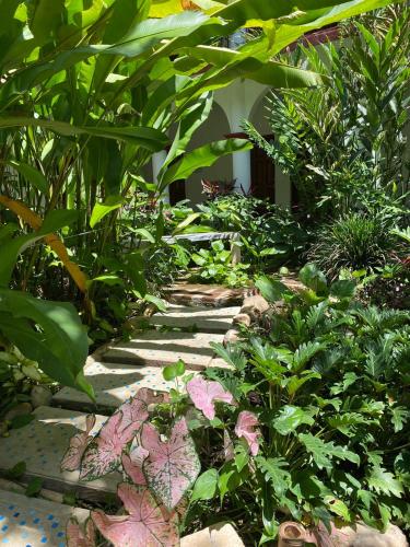 a garden with plants and a stone walkway at Hotel La Ceiba in Chiapa de Corzo