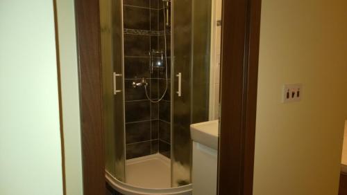 a shower with a glass door next to a toilet at Rooms & Apartments Blue Beach in Vodice