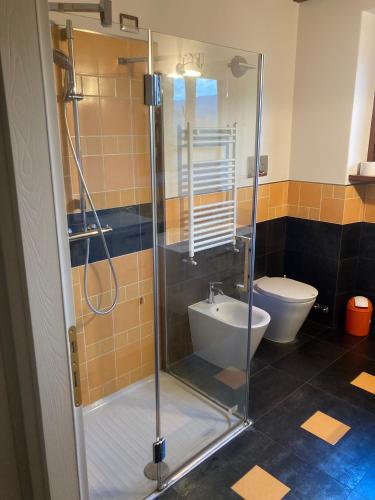 a bathroom with a shower and a toilet at Casale Riorso in Orvieto