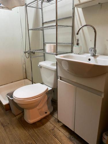 a bathroom with a toilet and a sink at Cabaña en Quinchamalí in Quinchamali