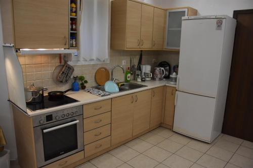 a kitchen with wooden cabinets and a white refrigerator at Kouriton apartment is an ideal place to relax in Gouves