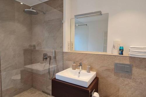 a bathroom with a sink and a shower and a mirror at Luxus Wohnung im Stadtzentrum in Nuremberg