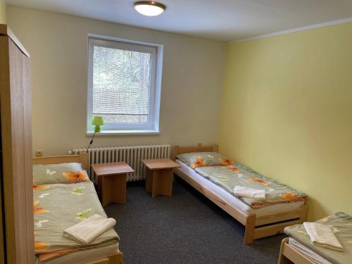 Cette chambre comprend 2 lits jumeaux et une fenêtre. dans l'établissement Penzion U Klujů, à Věstín