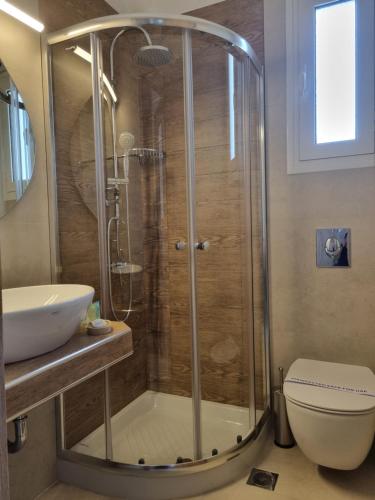 波羅斯的住宿－Chrysanthe's Apartments No1，带淋浴、卫生间和盥洗盆的浴室