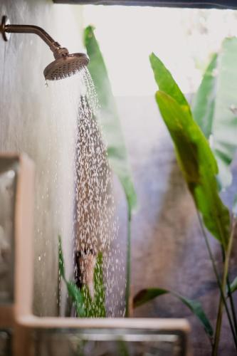 a person is watering a plant with a hose at Lua Villas in Santa Teresa Beach