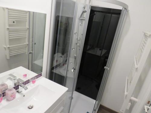 La salle de bains est pourvue d'une douche et d'un lavabo. dans l'établissement chez Mirka 2 chambres, à Criel-sur-Mer