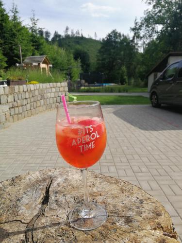 a drink in a glass sitting on a table at Penzion U Klujů in Věstín