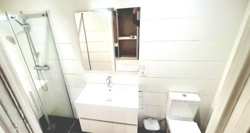 een badkamer met een wastafel, een toilet en een spiegel bij Habitación amplia con baño privado a pasos de la playa en piso familiar in San Sebastian