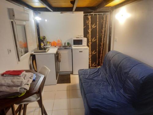 ein Wohnzimmer mit einem Sofa und einer Küche in der Unterkunft F1 mezzanine in Nizza