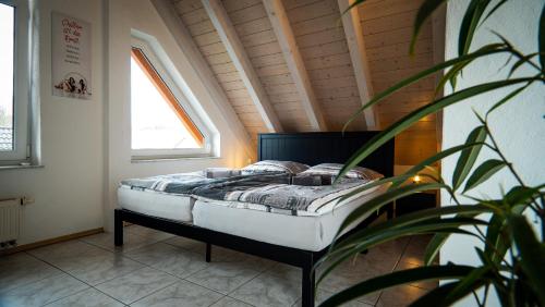 Bett in einem Zimmer mit einer Pflanze in der Unterkunft FeWo WOW II Schöne 2-Zimmer Maisonette Wohnung in Weisweil