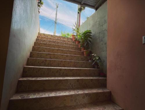 a set of stairs with potted plants on them at Ceiba lodge in Drake