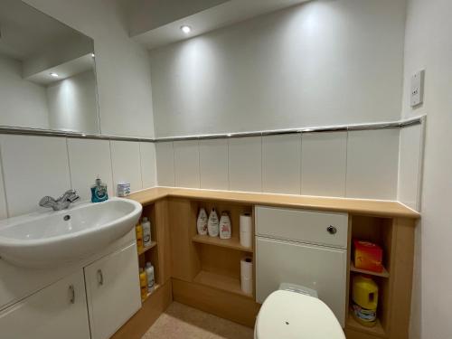 een badkamer met een wastafel en een toilet bij Edinburgh Apartment BR in Edinburgh
