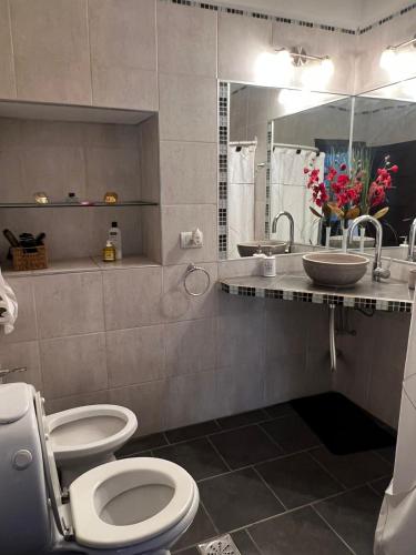 a bathroom with a toilet and a sink at Alquilo casa quinta in Pocito