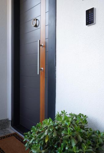 a door with a plant in front of it at Tolevski Apartments, Bitola in Bitola