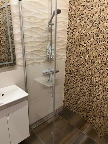 een douche met een glazen deur in een badkamer bij 101 Large Space in Kaunas